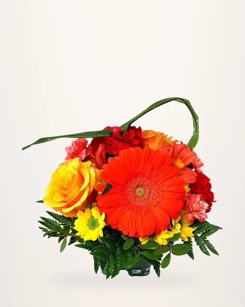 Bright orange gerbera and rose birthday arrangement