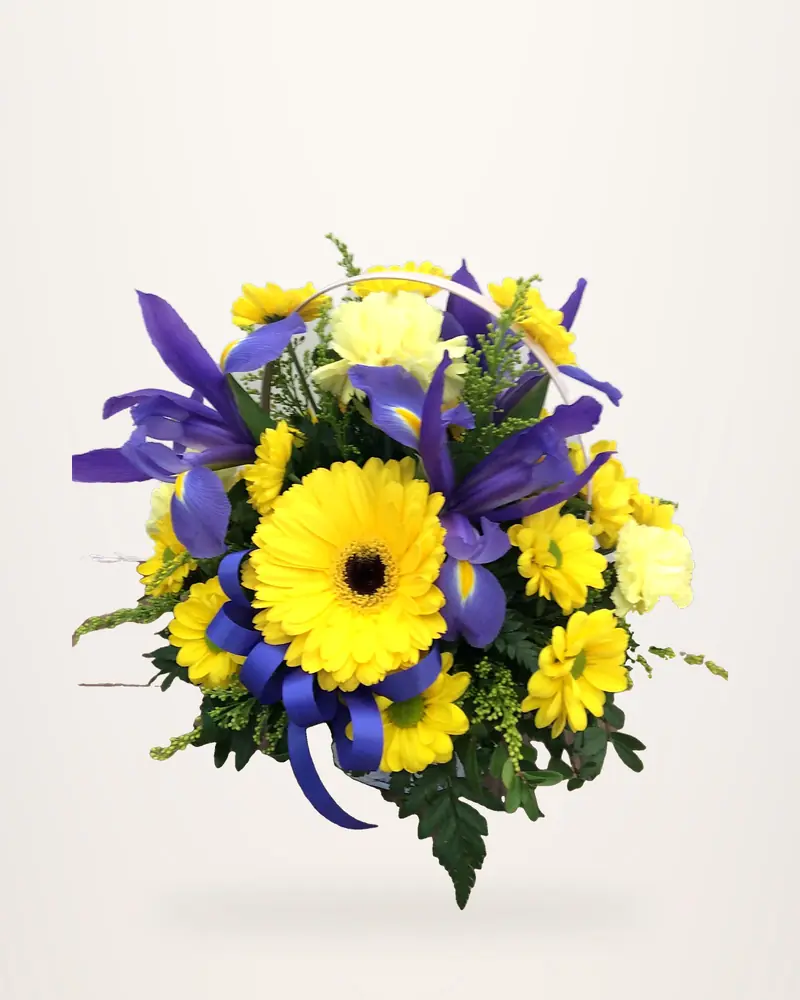 Cheerful yellow gerbera and blue iris arrangement